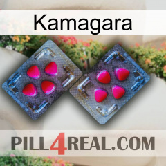 Kamagara 15